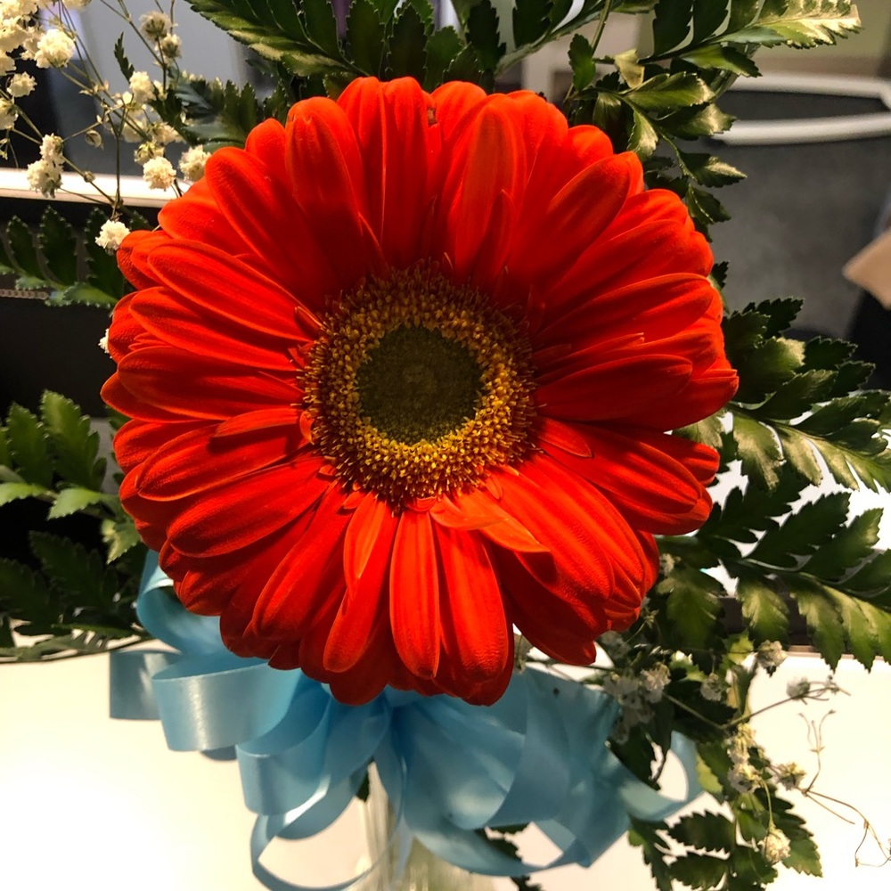 Meet your Posher, Tracy